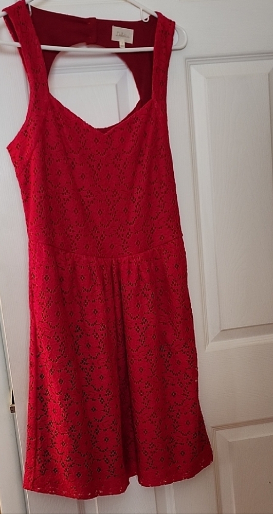 Deletta Red Lace Mini Dress